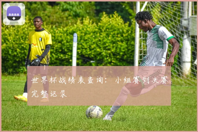 世界杯战绩表查询：小组赛到决赛完整记录