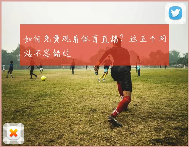 如何免费观看体育直播?这五个网站不容错过